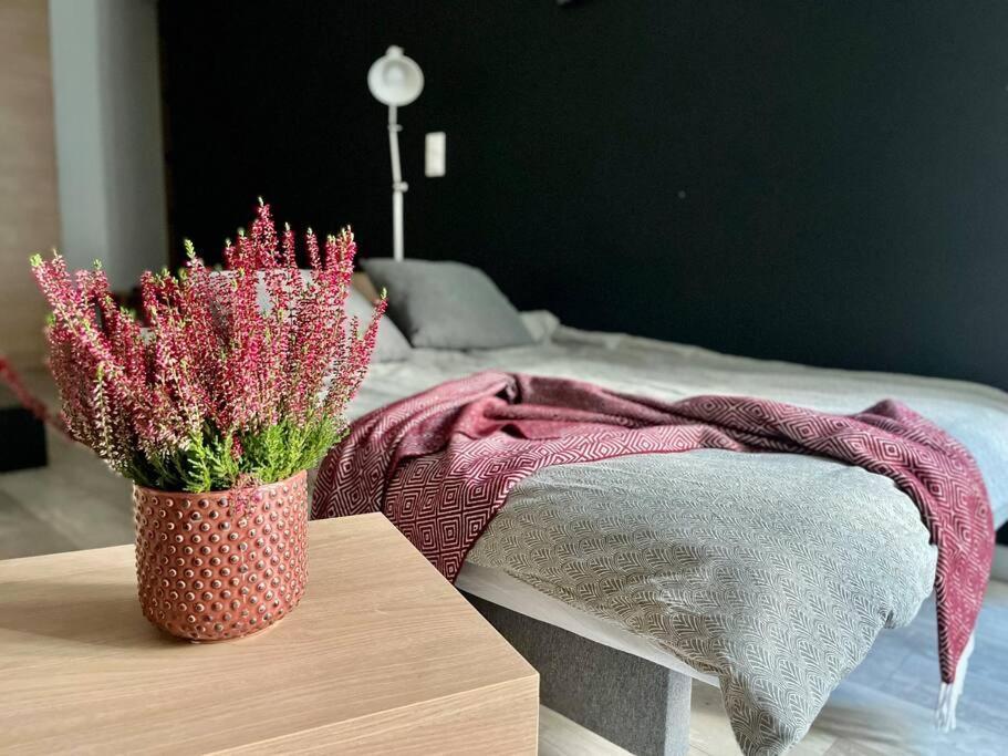 Smart Apartment Ogrodowa 华沙 外观 照片